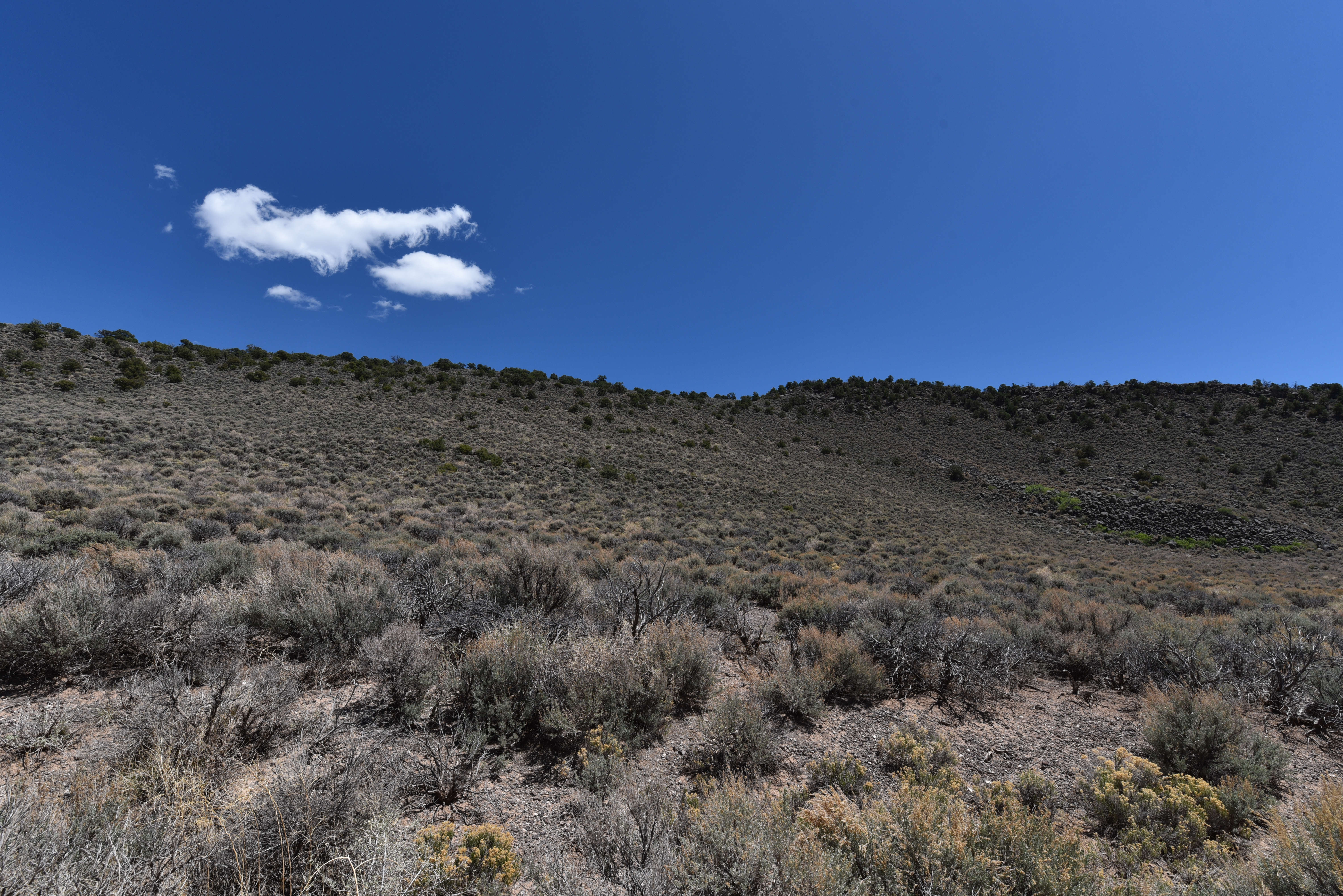Colorado