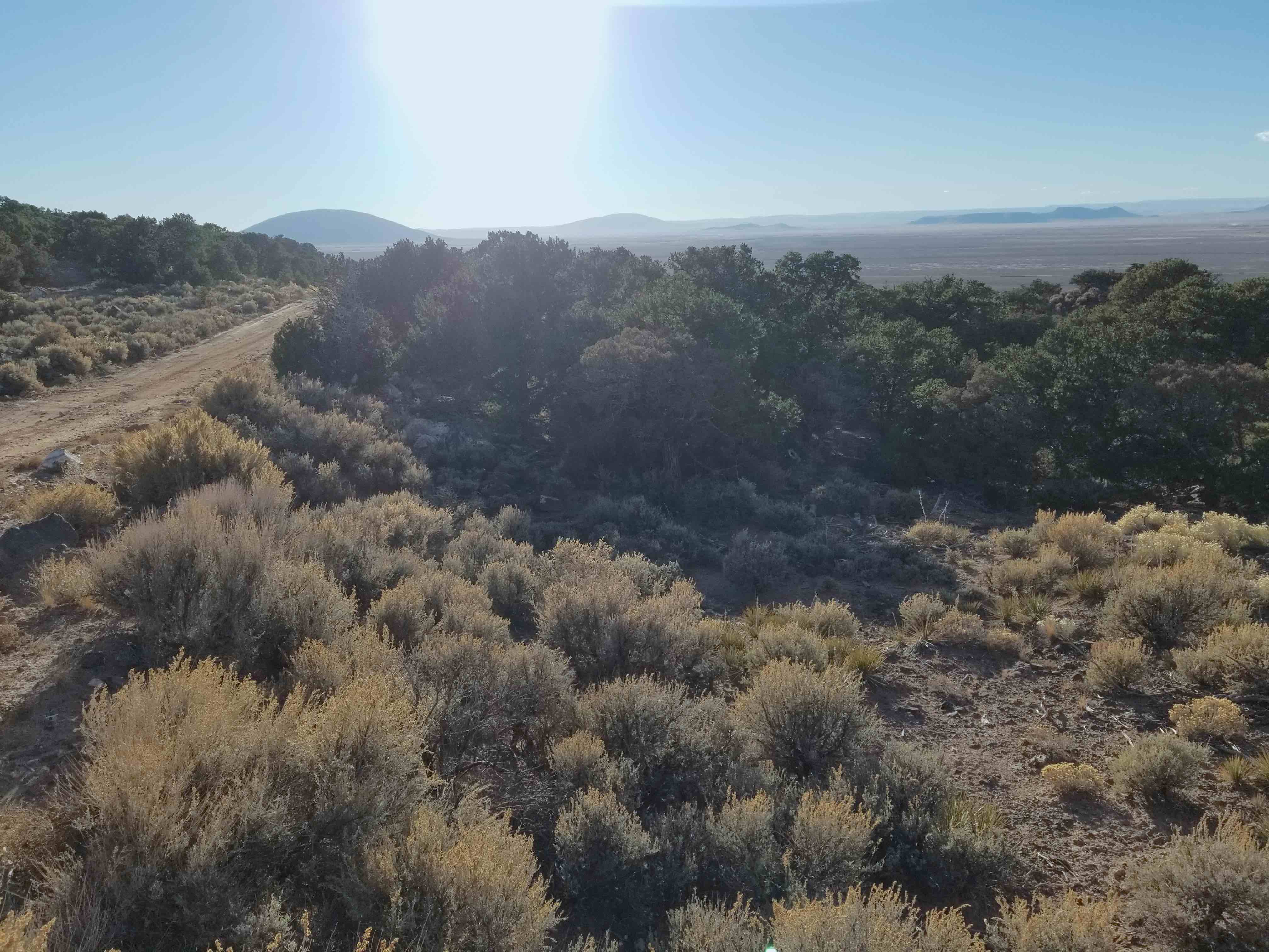 Wild Horse Mesa Property Brown Trail